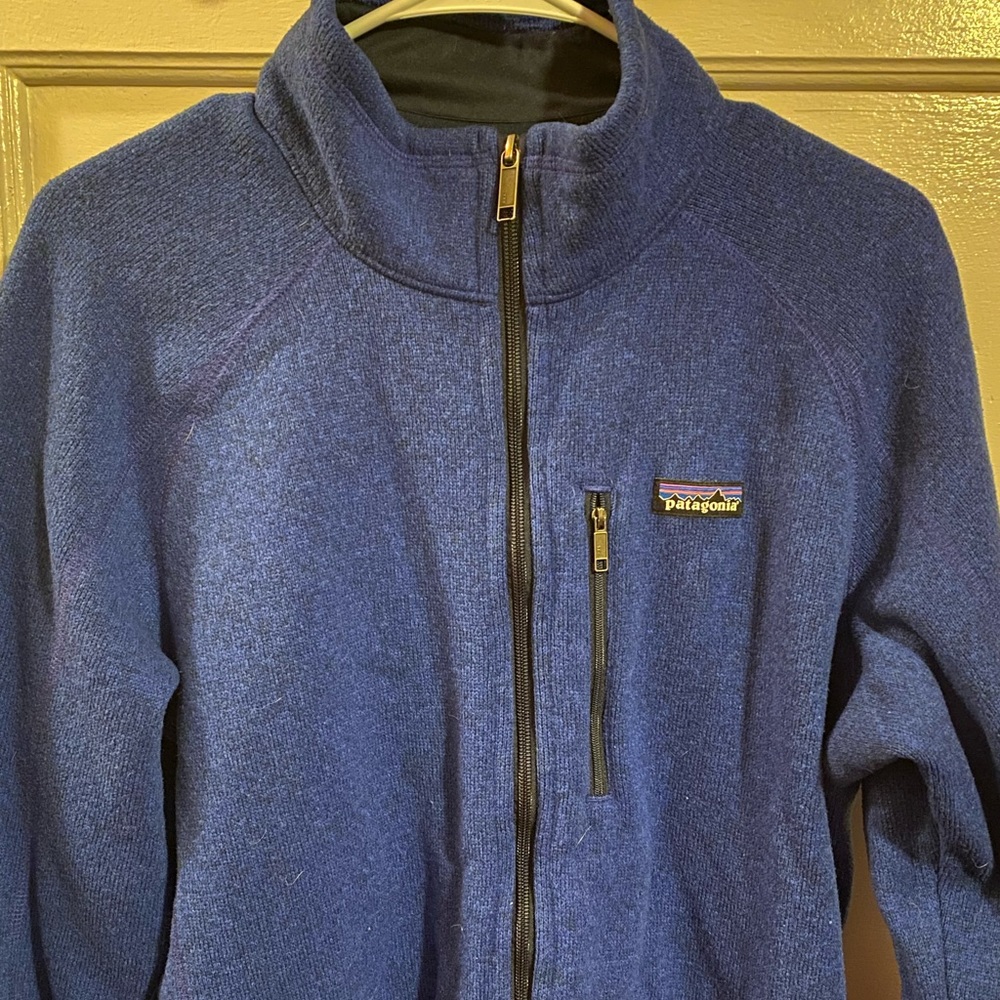Patagonia Men’s coat